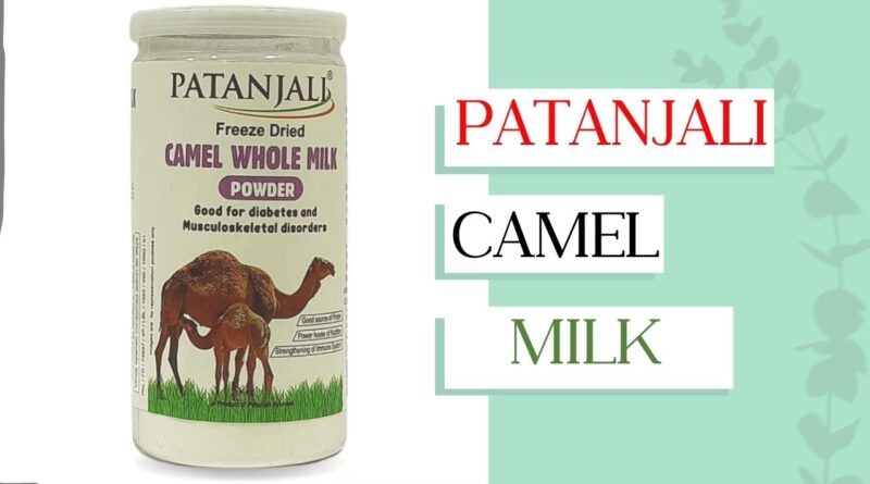camel milk in hindi